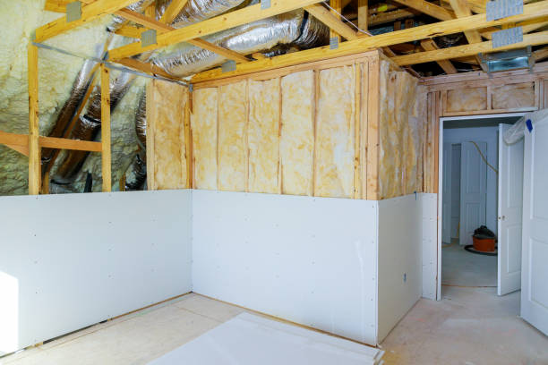 Best Spray Foam Insulation  in Reed City, MI