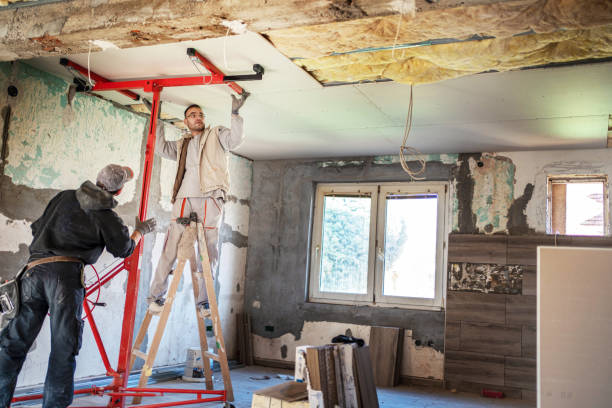 Best Insulation Air Sealing  in Reed City, MI